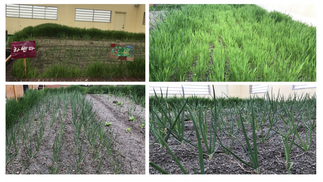 9f41ed9b2f8e9a52592a8bbfc6b0008e_1590457